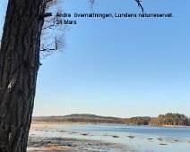 20220324_153726 Andra övernattningen, Lundens naturreservat 24 mars.